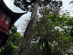 -东山雕花楼