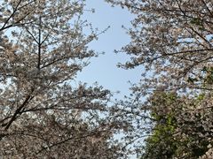 -西北湖绿化广场