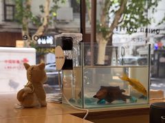 -Onirii Coffee(长乐路店)