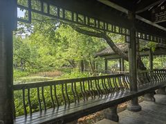 -东湖落雁景区