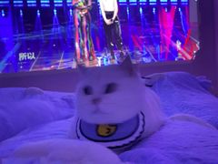 -咕咕站韩国料理(紫金港店)