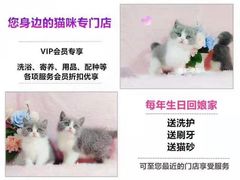 -十年猫舍·猫咪专门店(普陀店)