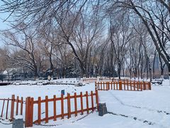 -玲珑塔公园