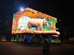 -大连森林动物园