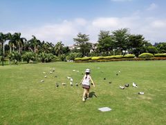 -白鹭洲公园