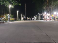 -万绿园