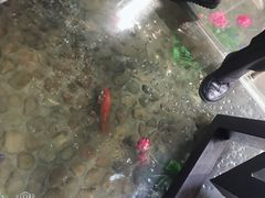 -印象江南(东栅店)