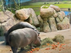 -大连森林动物园