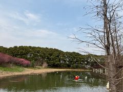 -同里国家湿地公园