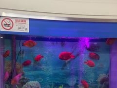 -雅悦齿科(顾村公园店)