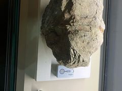 -天津自然博物馆