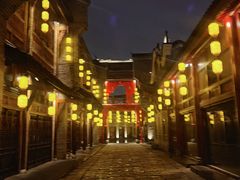 -武汉园博园(武汉自然博物馆)