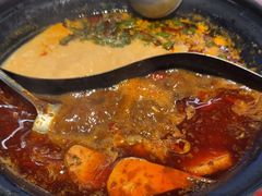 -生活如沸·顺德水牛奶火锅(大学路店)