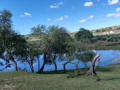 -塞罕坝国家级自然保护区