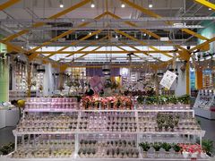 -KKV(深圳宏发大仟里店)