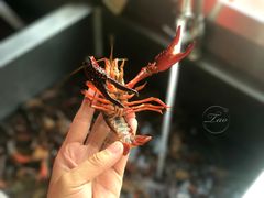 -骄傲de小龙虾 · 全羊馆(新北万达店)