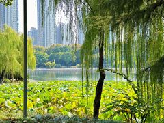 -后襄河公园