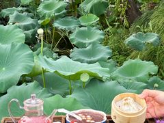 -大潮淮·淮扬菜(何园旗舰店)