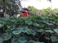 -四川大学(望江校区)