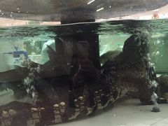 -白金汉爵大酒店·中餐厅(相城店)