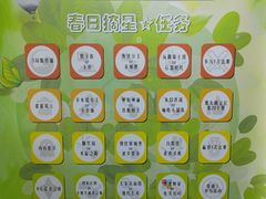 -莱姆星桌游·拼豆·团建
