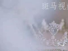 -斑马飞扬传媒·企业影视制作服务商(北京店)