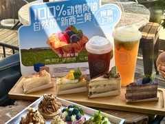 -倾城密码(大唐店)