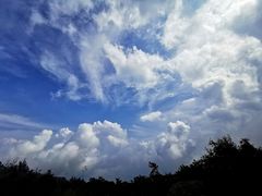 -白草畔自然风景区