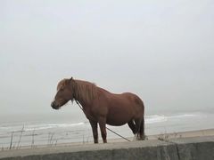-南澳海滩