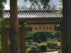 -黑龙江省森林植物园