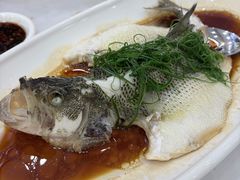 -金华安大酒楼·老牌潮菜·粤式茶点(东方国际店)