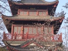 -堤角公园