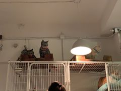 -小时光咖啡馆(北锣鼓巷店)