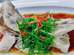 -院里寻菜·祖庵菜宴请(观沙岭店)