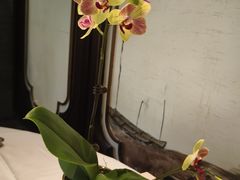 -顺德渔村(南山店)