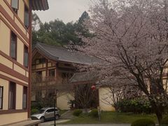 -庐山风景名胜区-东林大佛