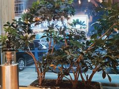 -小桂林烧鸽子