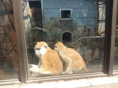 -昆明动物园