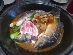 -肥鱼屯活鱼锅(惠工街店)