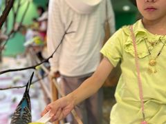 -上海大自然野生昆虫馆(东方明珠·爬宠昆虫探索中心)