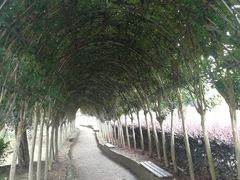 -武汉紫薇都市田园