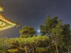 -迎泽公园
