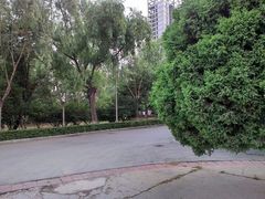 android_upload_pic-辽宁大学(崇山校区)