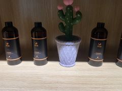 -梵猫·新养生(福州万象城店)