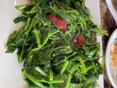 炝炒豌豆尖-彭记老妈蹄花(文化路店)