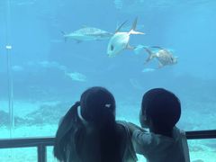 -悉尼海洋生物水族馆