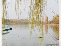 -昆山城市生态森林公园