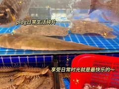 -鲜得莱渔港·小平岛海胆馆(七贤岭店)