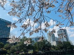 -红星桥(地铁站)