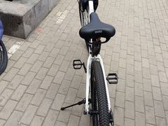 -道路口单车爱瓦士dahon大行